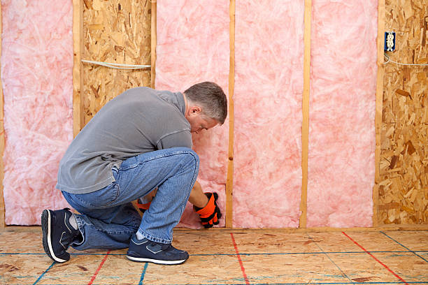 Best Basement Insulation  in Mcgregor, FL